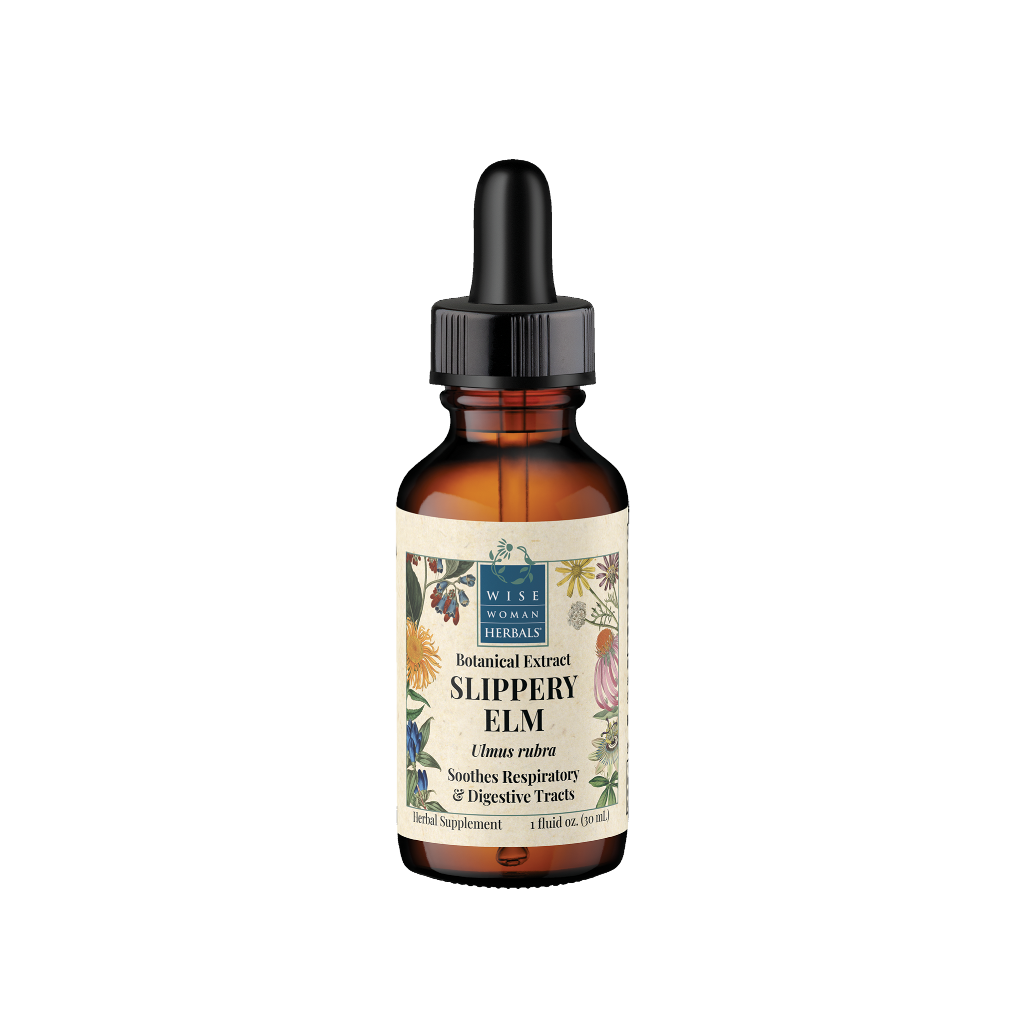 Slippery Elm (Ulmus spp.) Botanical Extract