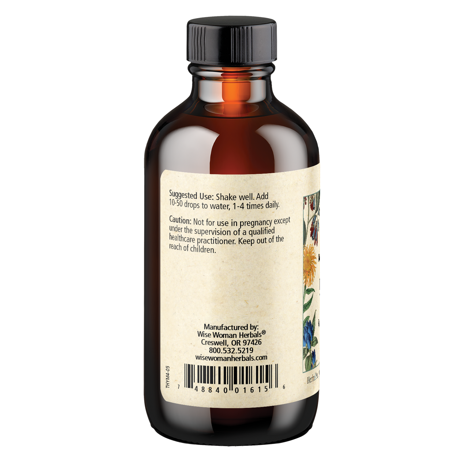 Thyme (Thymus spp.)
