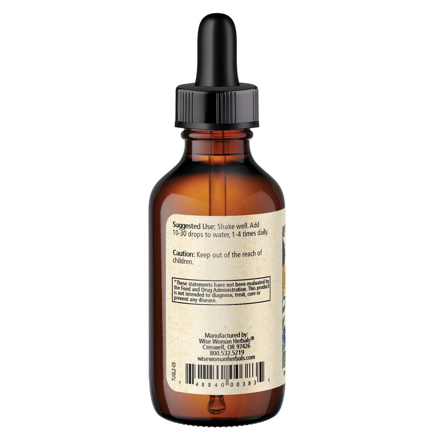 Tranquil Tummy (formerly Tummy Glycerite)
