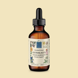 Astragalus (Astragalus membranaceous)
