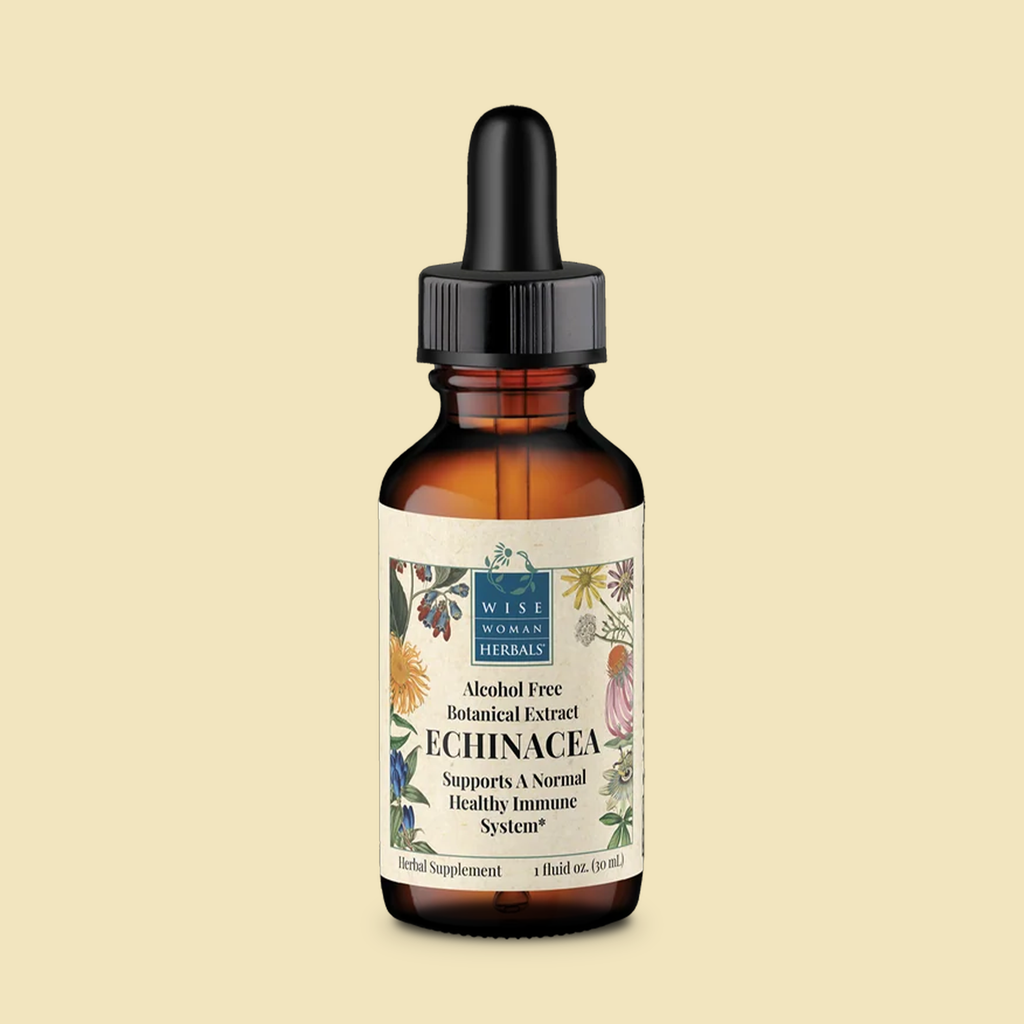 Echinacea Alcohol-Free -Immune Support – Wise Woman Herbals