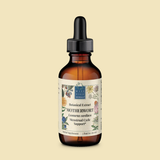 Motherwort (Leonurus cardiaca)