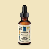 Mullein (Verbascum spp.) Botanical Extract
