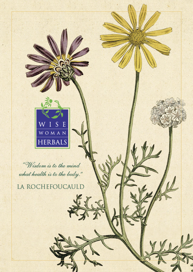 Botanical Posters