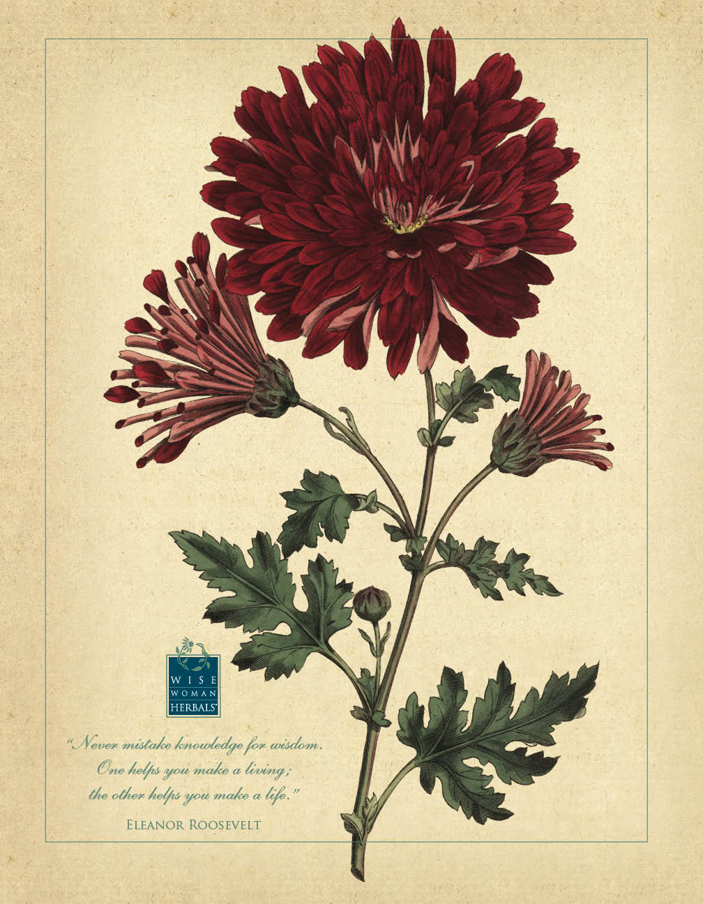 Botanical Posters