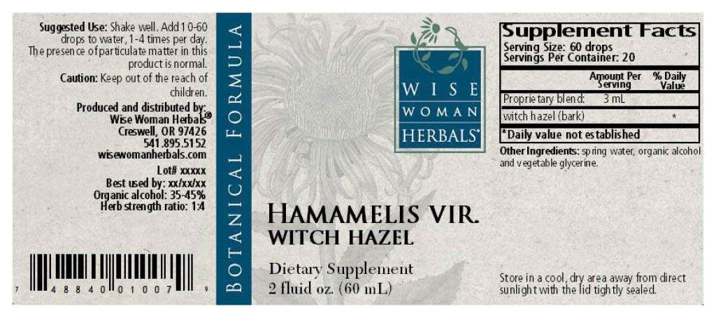Witch Hazel (Hamamelis virginiana)