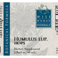 Hops (Humulus lupulus)