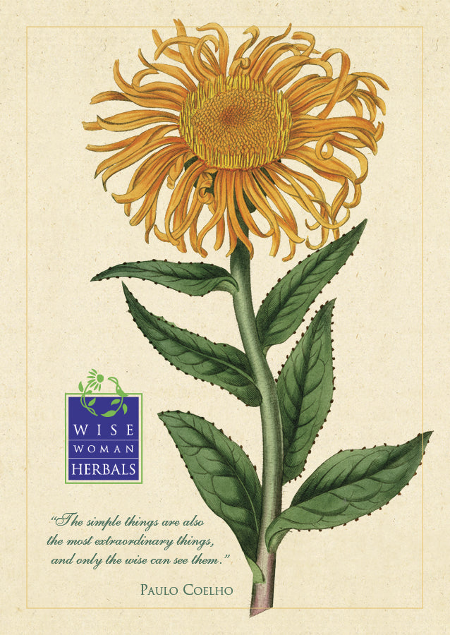 Botanical Posters