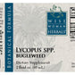 Bugleweed (Lycopus spp.)