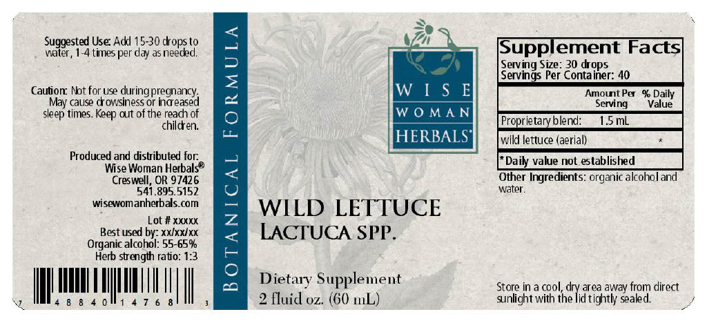Wild Lettuce (Lactuca spp.)