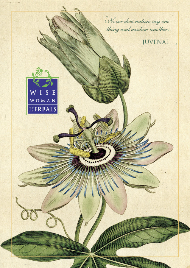 Botanical Posters