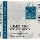 Yellow Dock (Rumex crispus)