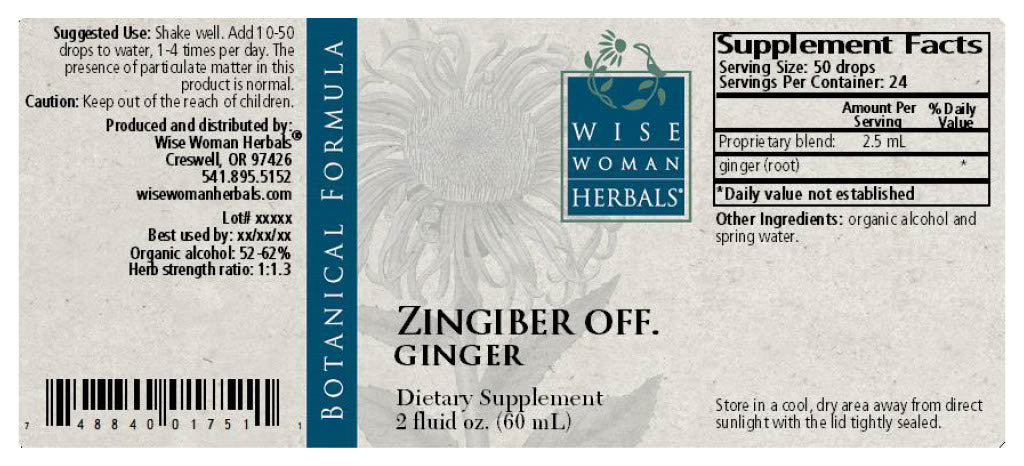 Ginger (Zingiber officinale)